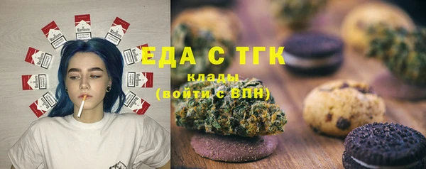 дурь Инта