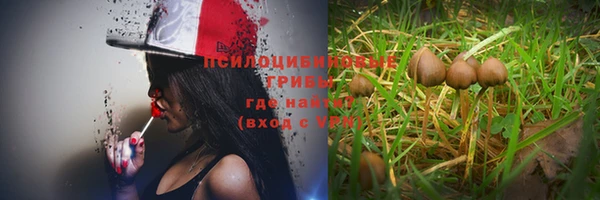 шишки Иннополис