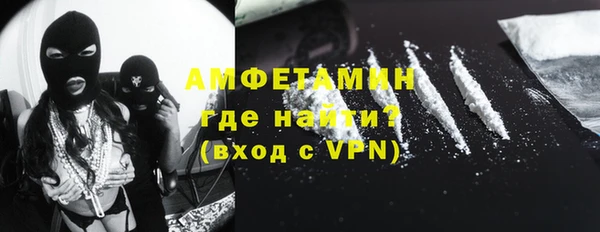 дмт Каменка