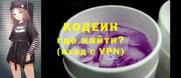дурь Инта