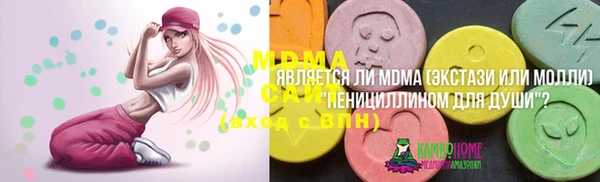 дмт Каменка