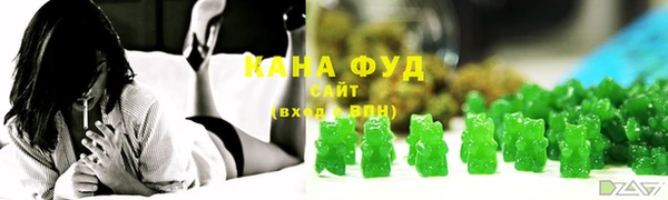 дмт Каменка