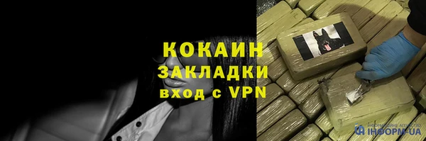 дурь Инта