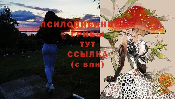 стафф Инсар