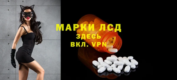 шишки Иннополис