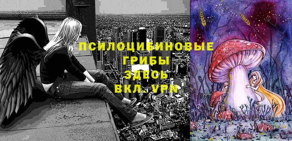 шишки Иннополис