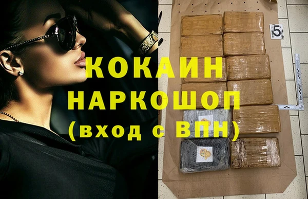 дурь Инта