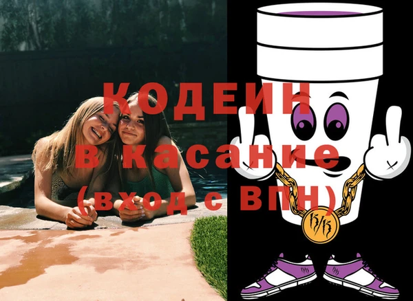 шишки Иннополис