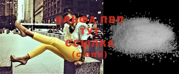 дурь Инта