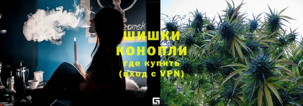 дурь Инта