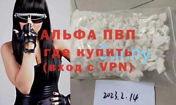 дурь Инта