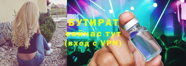 дмт Каменка