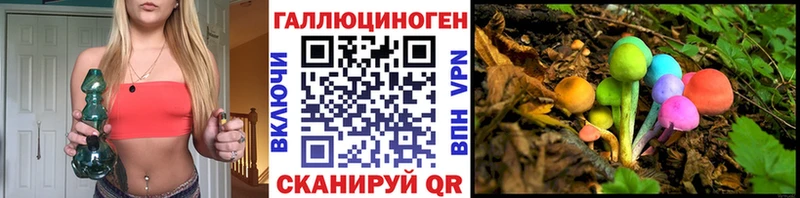 Псилоцибиновые грибы GOLDEN TEACHER  нарко площадка Telegram  Карасук 