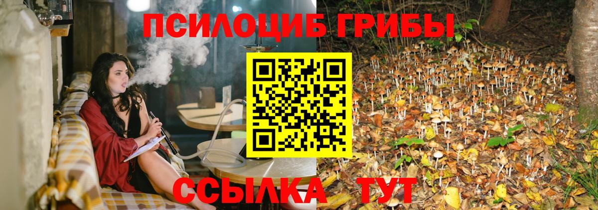 Карасук  Галлюциногенные грибы прущие грибы  как найти   Вход с VPN 