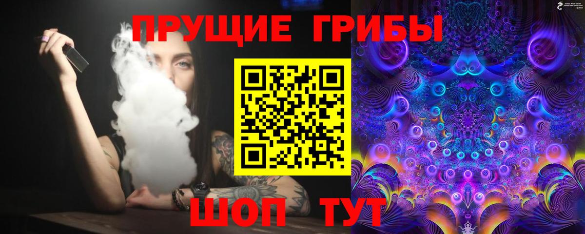 Галлюциногенные грибы Cubensis Карасук